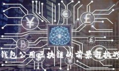 钱包公用区块链的前景与