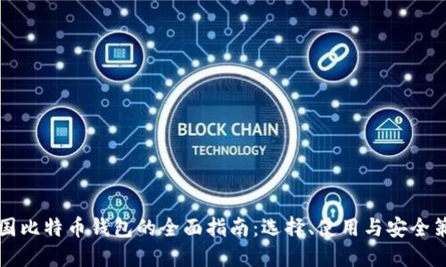 中国比特币钱包的全面指南：选择、使用与安全策略