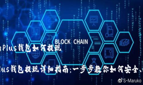 比特币的Plus钱包如何提现

比特币Plus钱包提现详细指南：一步步教你如何安全、快速提现