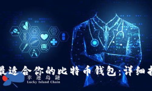 如何选择最适合你的比特币钱包：详细指南与推荐