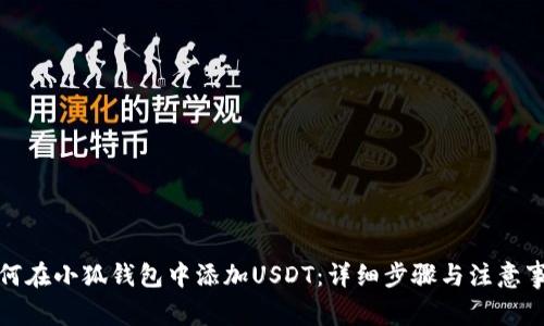 如何在小狐钱包中添加USDT：详细步骤与注意事项