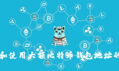如何找到和使用大额比特币钱包地址的完全指南