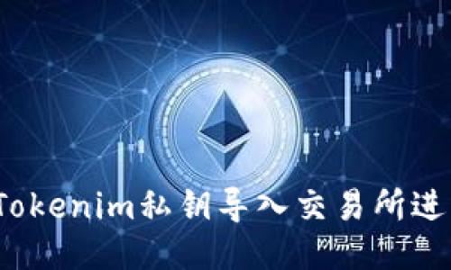 如何将Tokenim私钥导入交易所进行交易？
