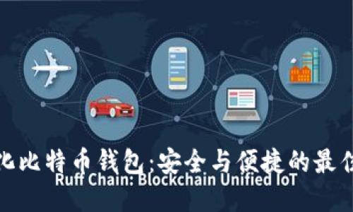 轻量化比特币钱包：安全与便捷的最佳选择