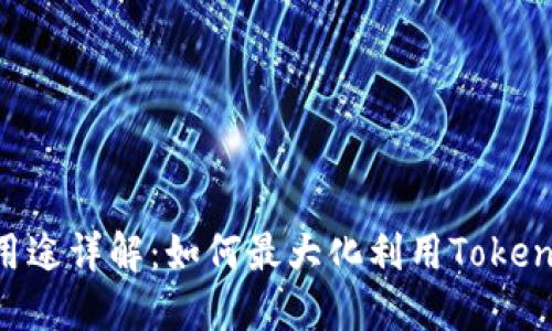 TokenIM密钥用途详解：如何最大化利用TokenIM的潜在价值