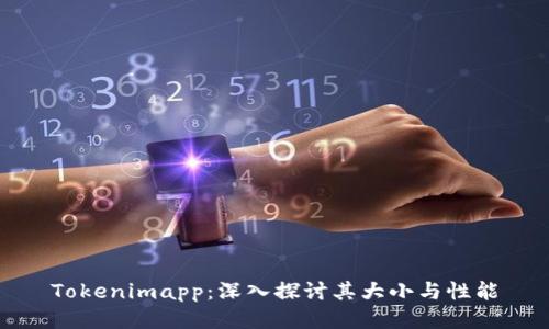 Tokenimapp：深入探讨其大小与性能