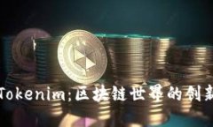 深入了解Tokenim：区块链世