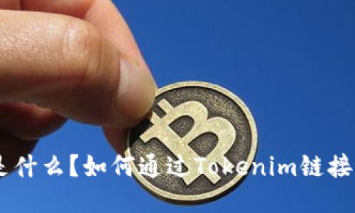 Tokenim是什么？如何通过Tokenim链接进行搜索？