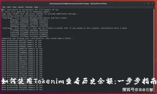 如何使用Tokenim查看历史余额：一步步指南