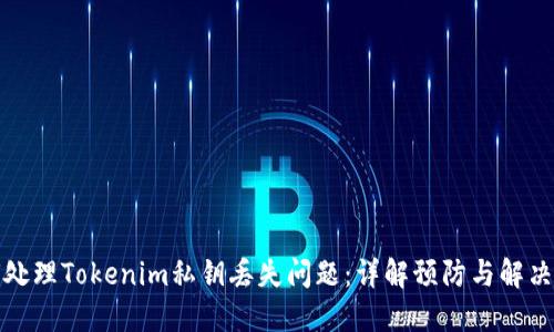 如何处理Tokenim私钥丢失问题：详解预防与解决方案