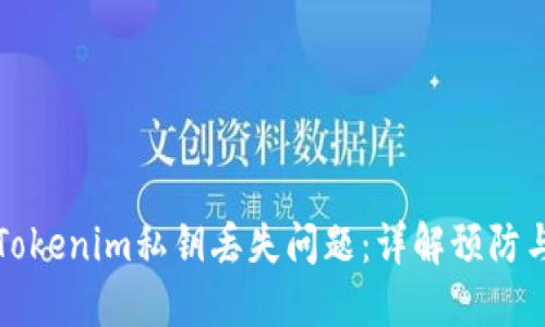 如何处理Tokenim私钥丢失问题：详解预防与解决方案