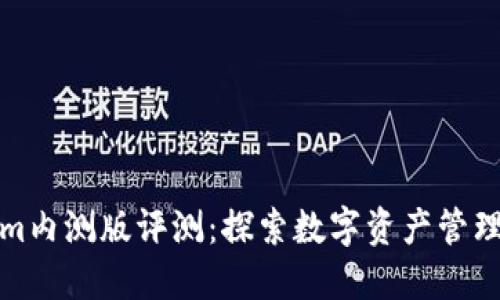 Tokenim内测版评测：探索数字资产管理的未来
