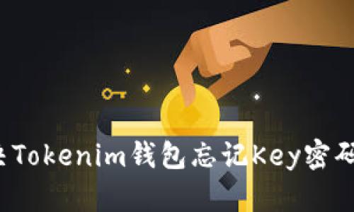 如何解决Tokenim钱包忘记Key密码的问题？