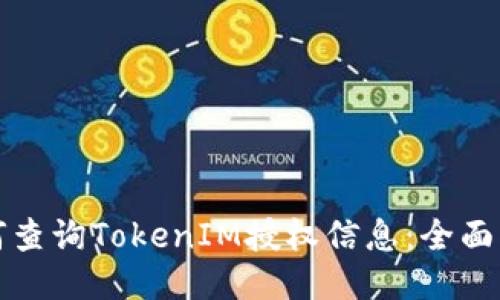 如何查询TokenIM授权信息：全面指南