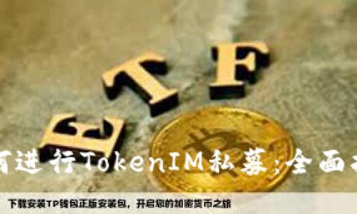 如何进行TokenIM私募：全面指南