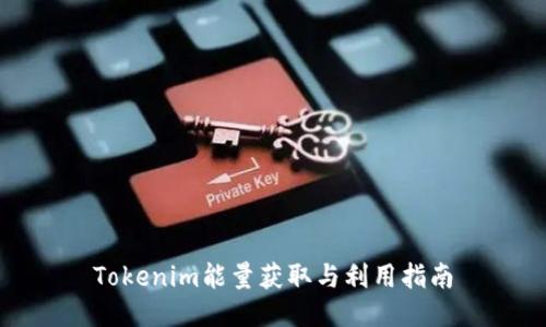 Tokenim能量获取与利用指南