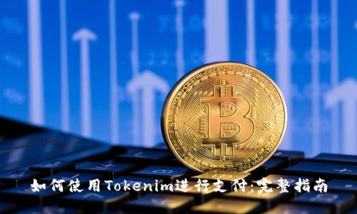 如何使用Tokenim进行支付：完整指南