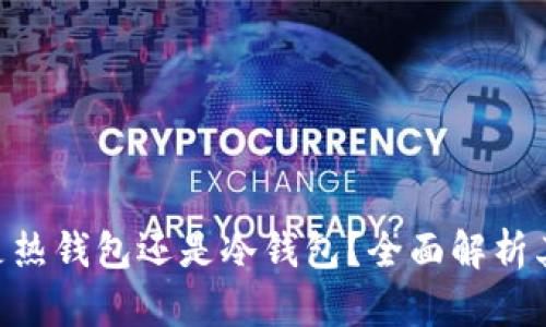 Tokenim钱包是热钱包还是冷钱包？全面解析其特点与安全性